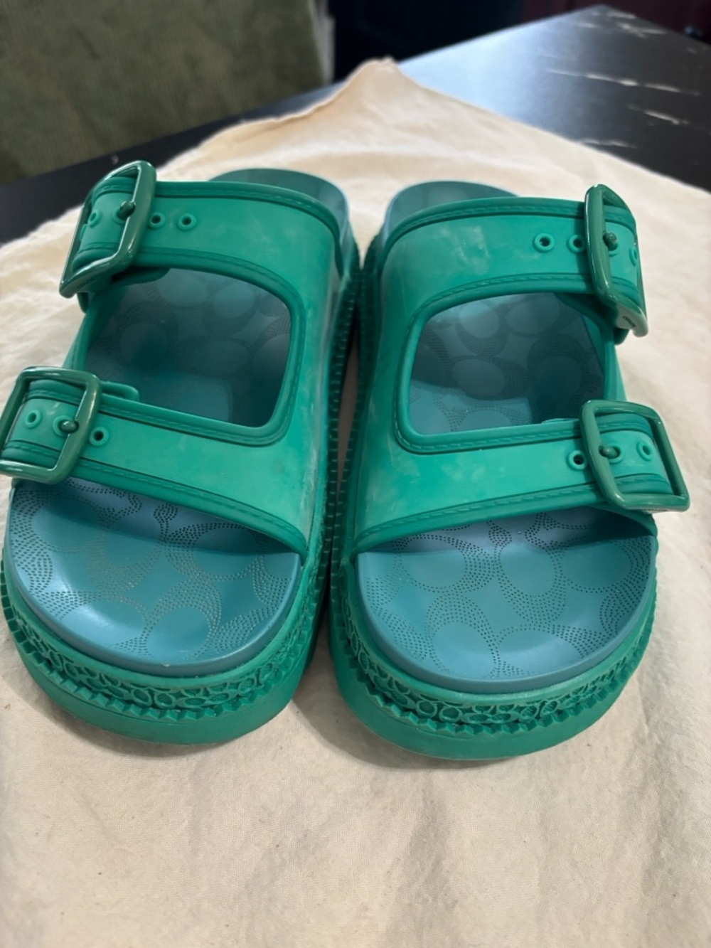 Coach Teal Green Double-Buckle Kids Slide Sandals - Picture 2 of 7